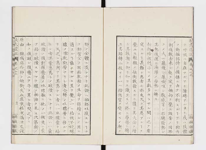 K0125s0420