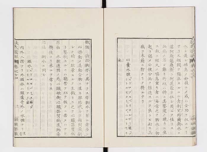 K0125s0433
