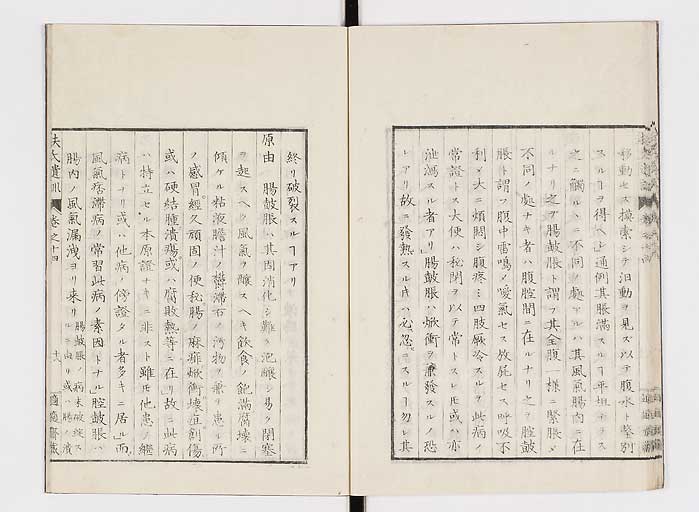 K0125s0440