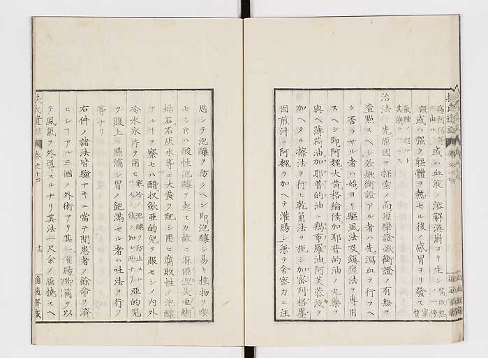 K0125s0441