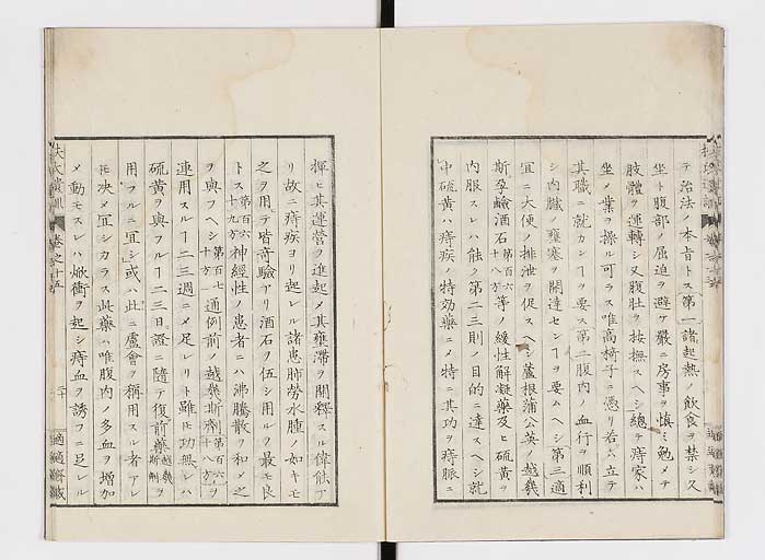 K0125s0466