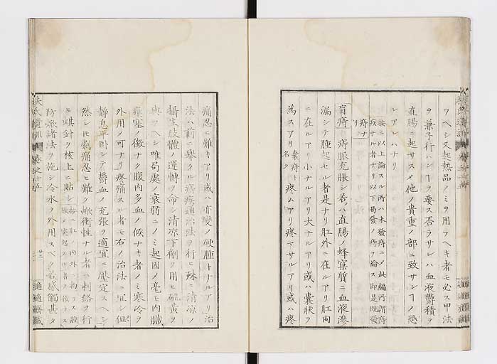 K0125s0469