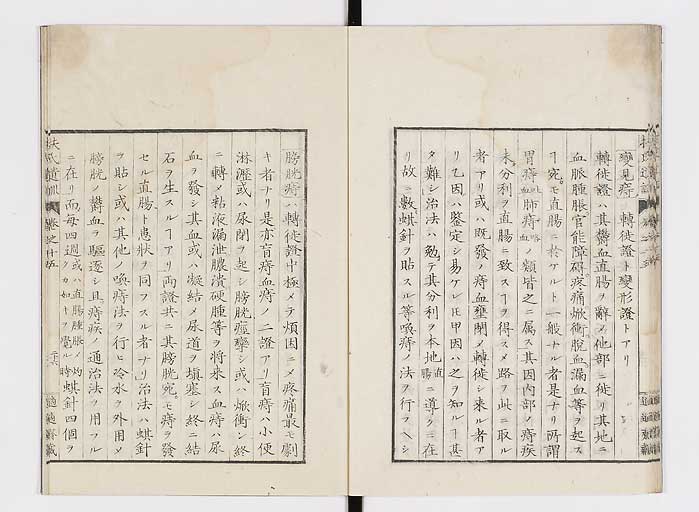 K0125s0472