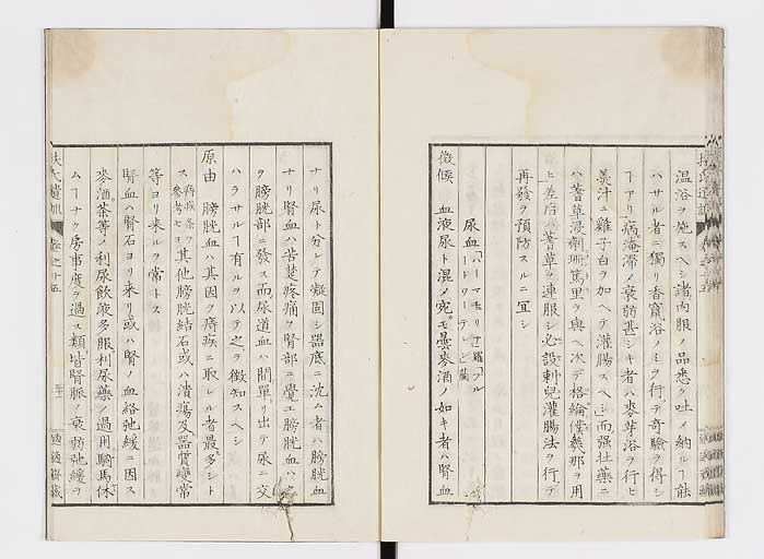 K0125s0477