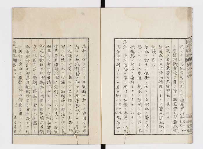K0125s0478