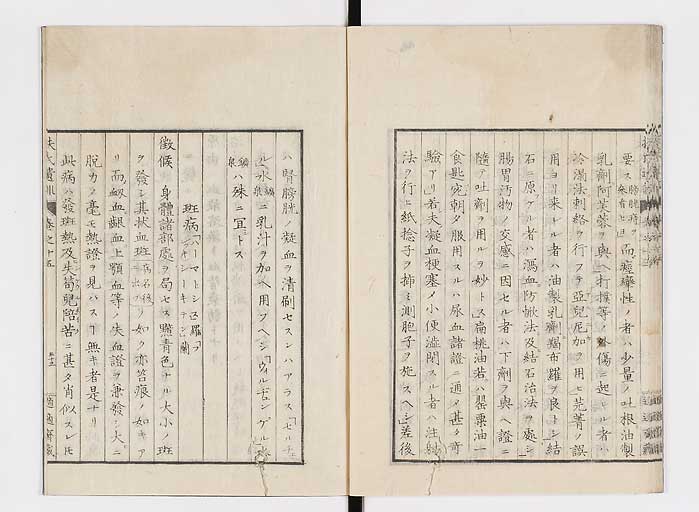 K0125s0479