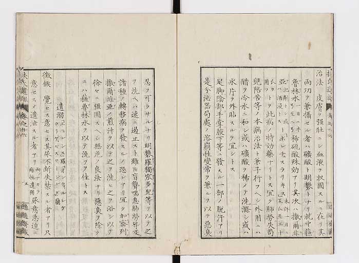 K0125s0488
