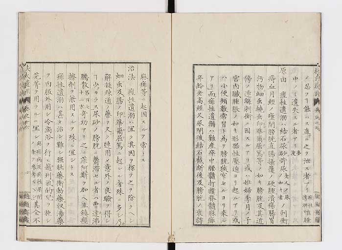 K0125s0489