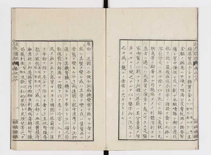 K0125s0491