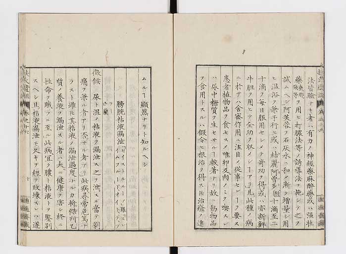 K0125s0493