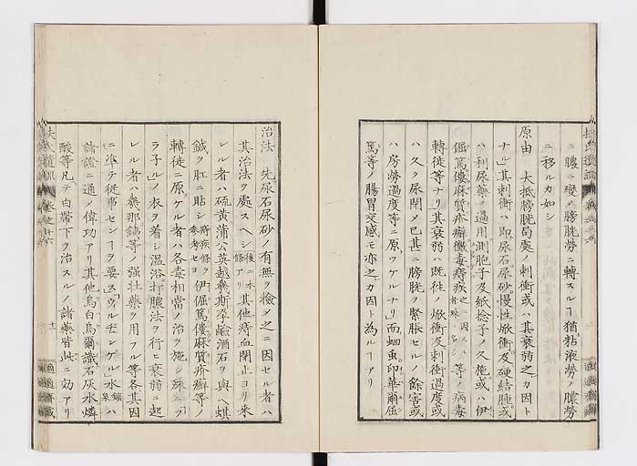 K0125s0494