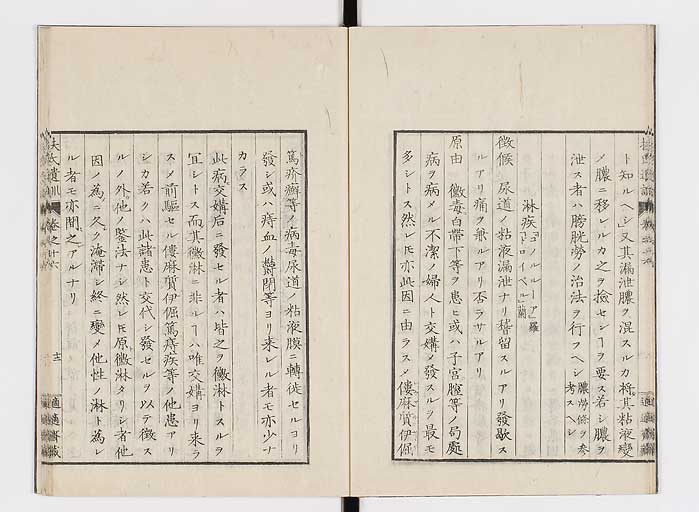 K0125s0495