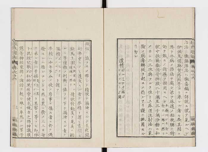 K0125s0496