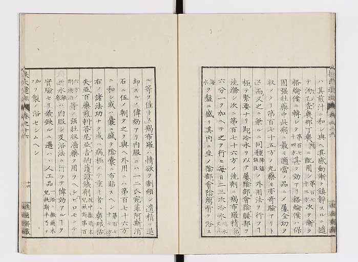 K0125s0499