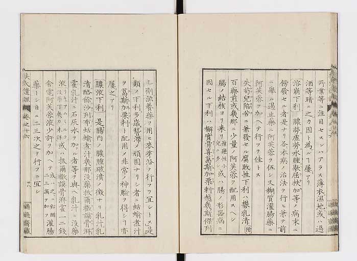 K0125s0511