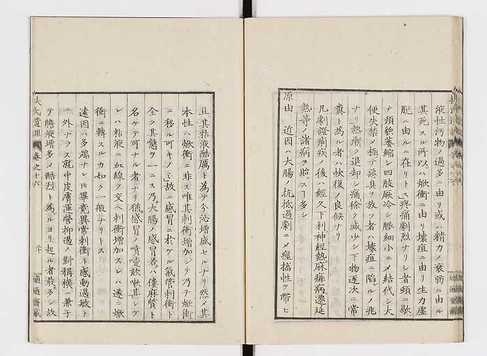 K0125s0513