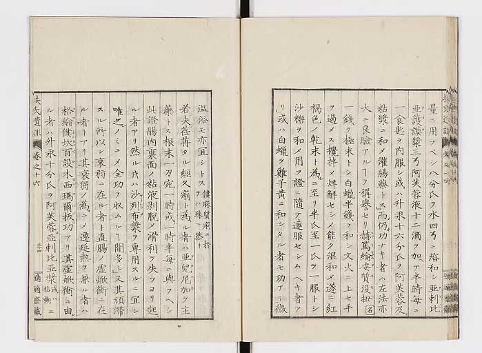 K0125s0517