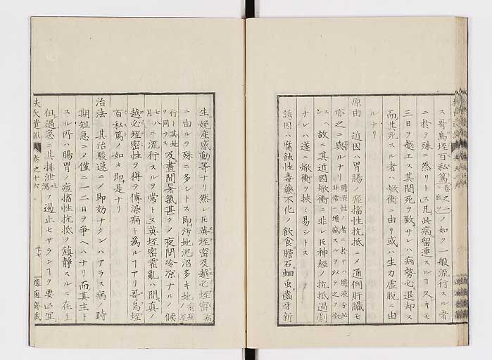 K0125s0520