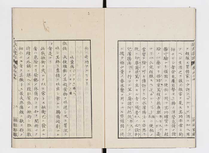 K0125s0529