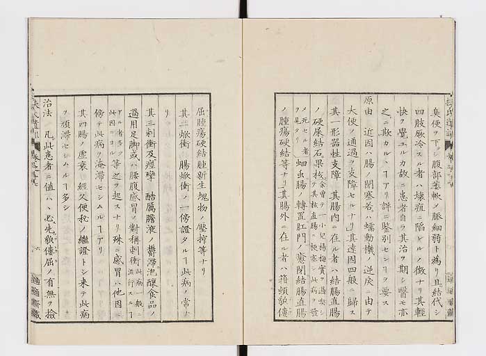 K0125s0530