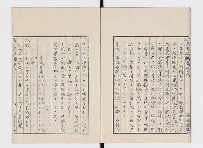 K0125s0539