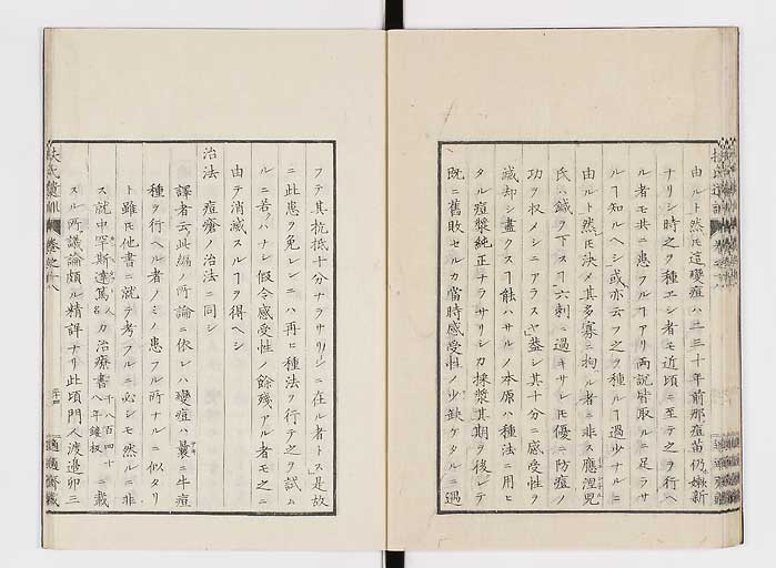 K0125s0581
