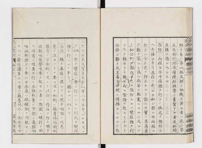 K0125s0594
