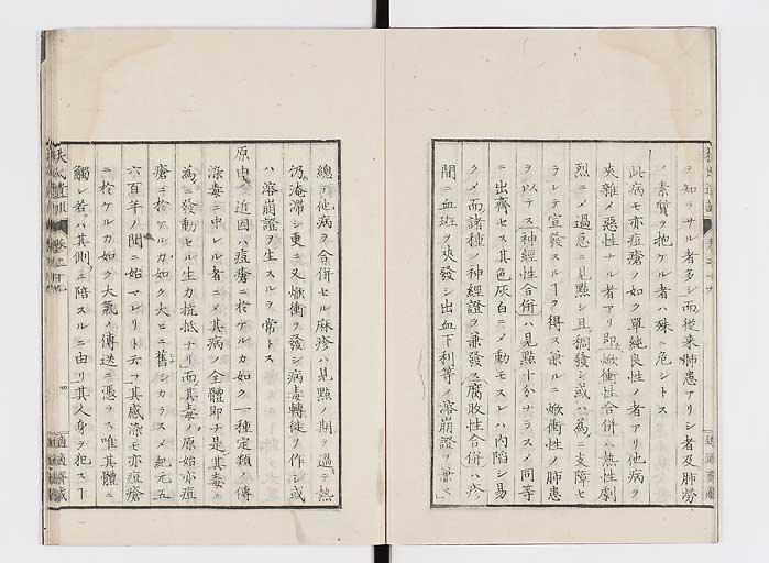 K0125s0601
