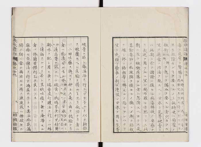 K0125s0606