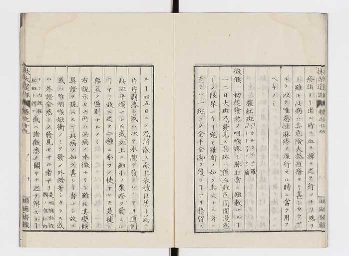 K0125s0607