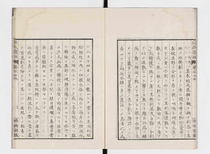 K0125s0609
