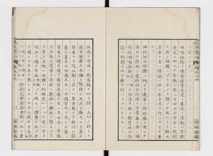 K0125s0613