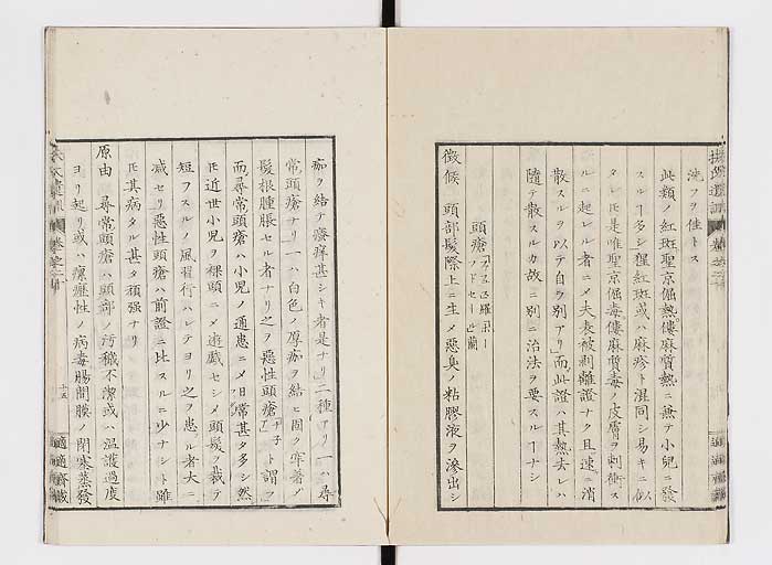 K0125s0646