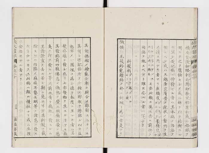 K0125s0656