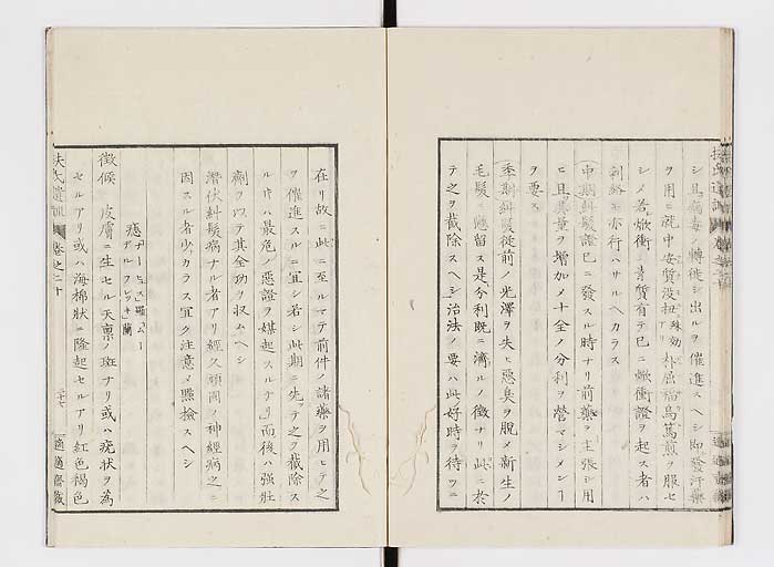 K0125s0658