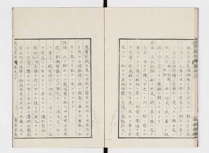K0125s0659