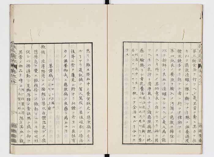 K0125s0673