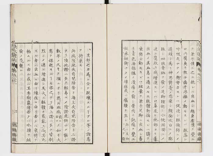 K0125s0677