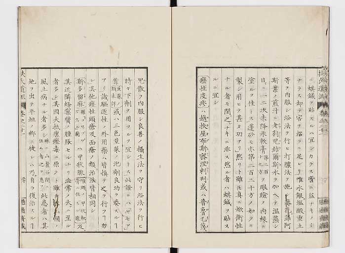 K0125s0696