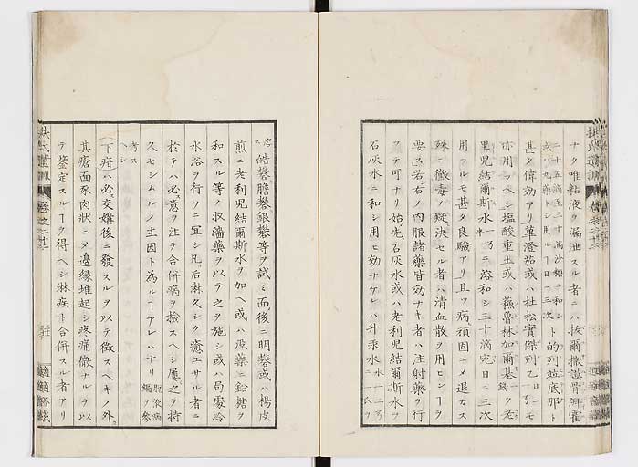 K0125s0733