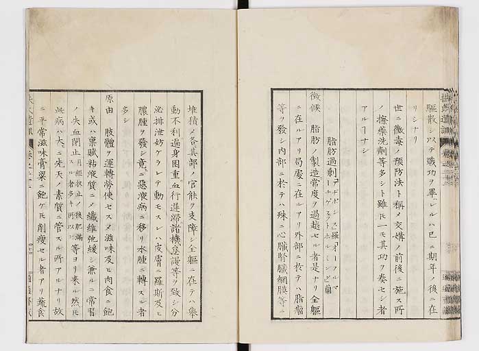 K0125s0746