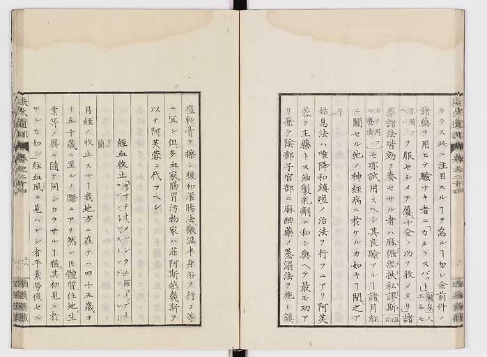 K0125s0802