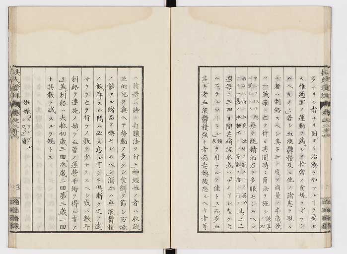 K0125s0805