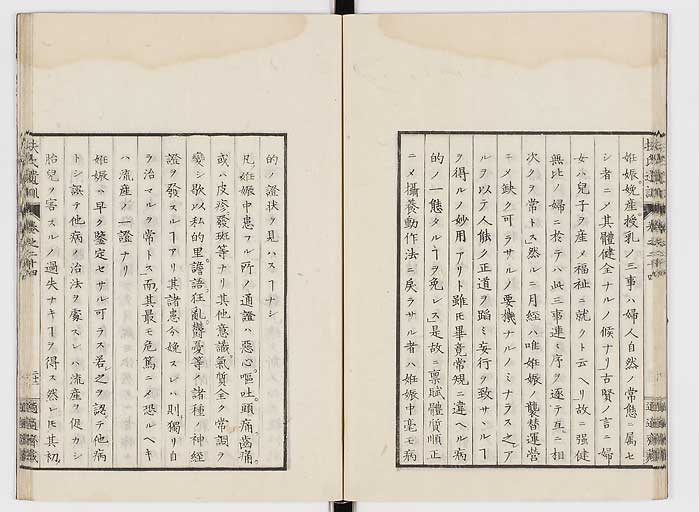 K0125s0806