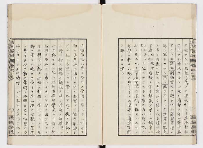 K0125s0809