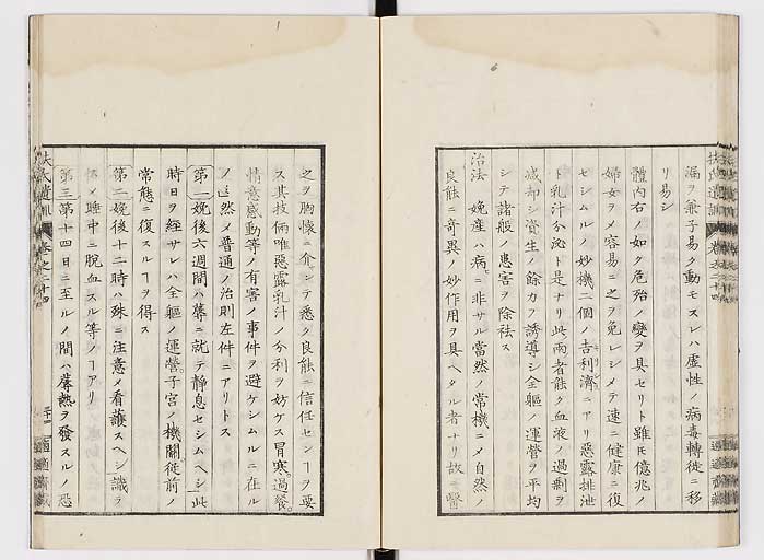 K0125s0818