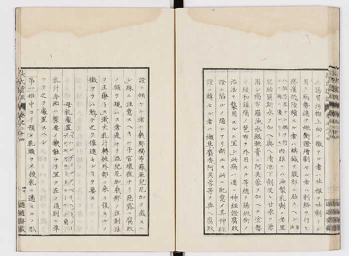K0125s0824