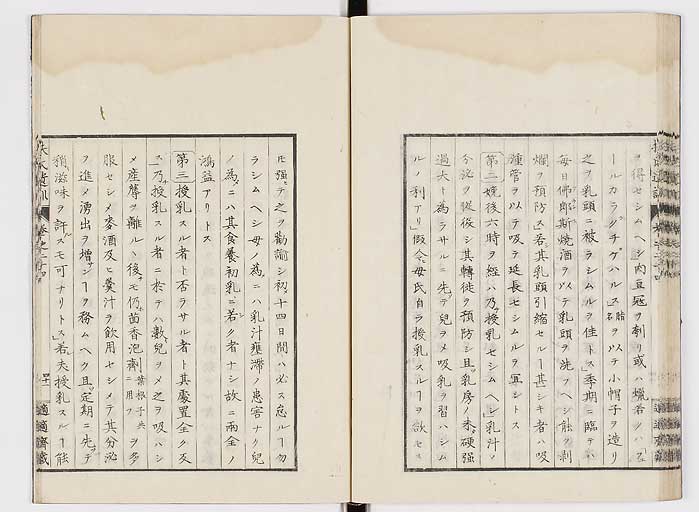 K0125s0825