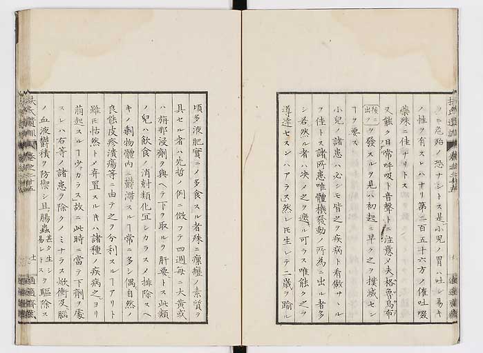 K0125s0849