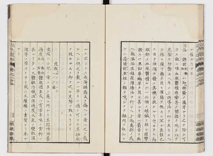 K0125s0875